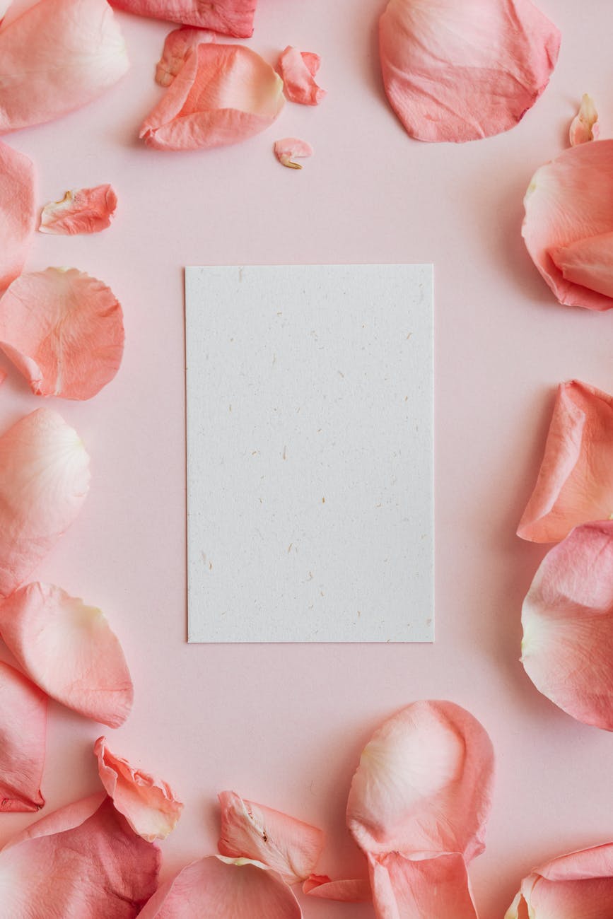 sheet of paper surrounded by pink rose petals