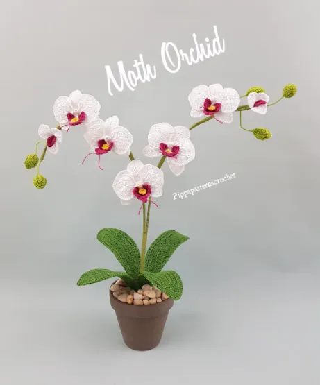 everlasting orchid crochet 
