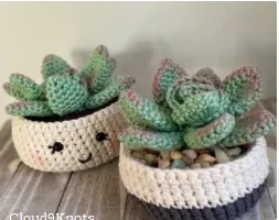 crochet succulents