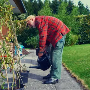 Sustainably grow your own tomatoes