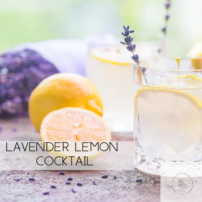 lemon lavender cocktail recipe