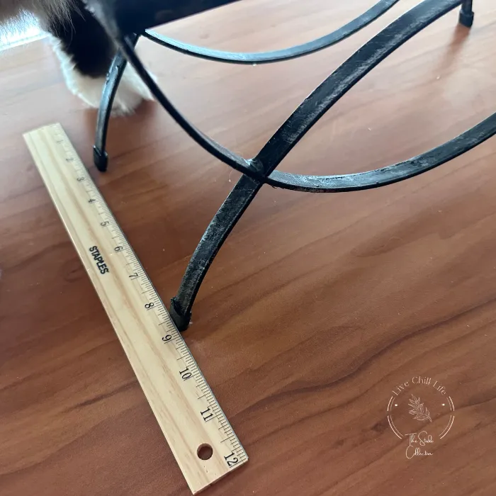 ruler measuring pet bowl