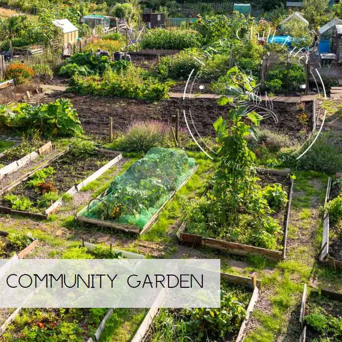 community garden near you