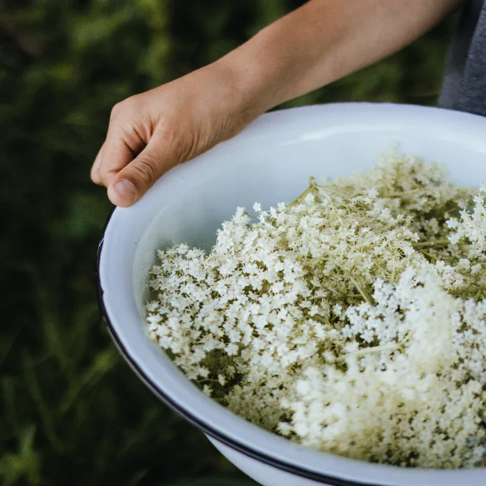 elderflower cocktail