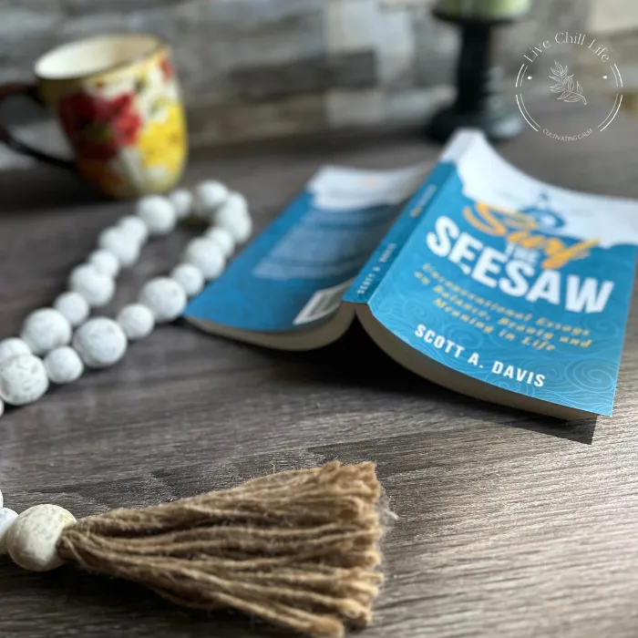 surf the seesaw book excerpt