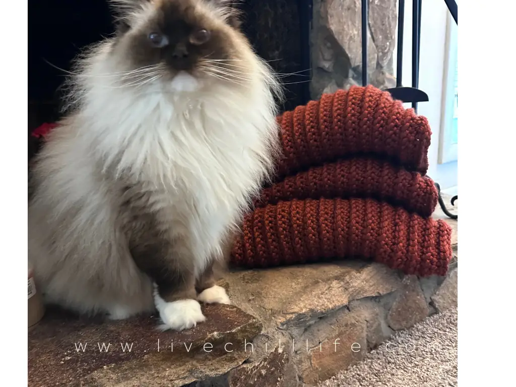 ribbed crochet blanket pattern