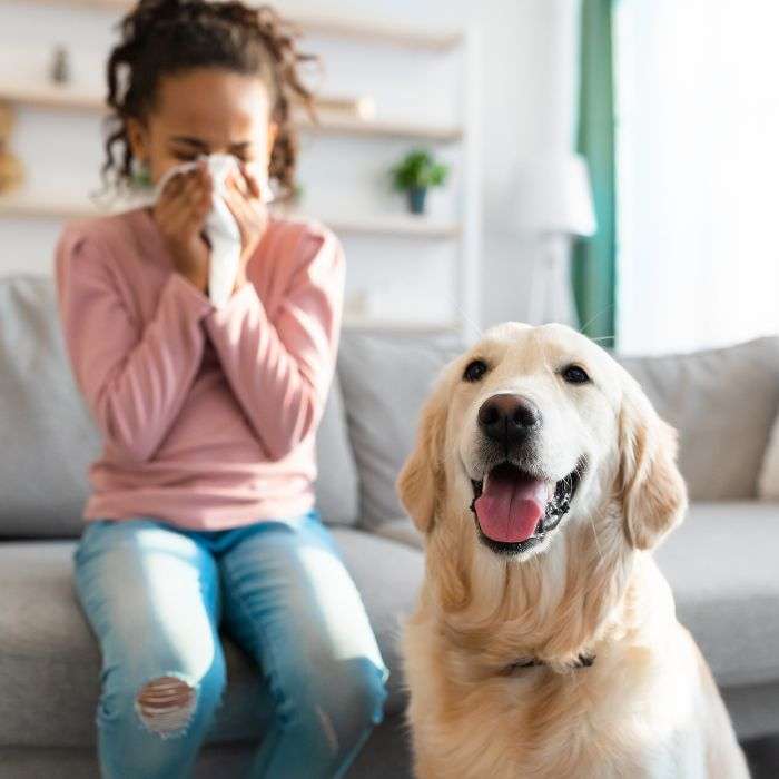 child and dog with indoor allergies