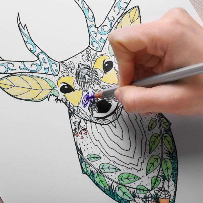 coloring page for a deer head