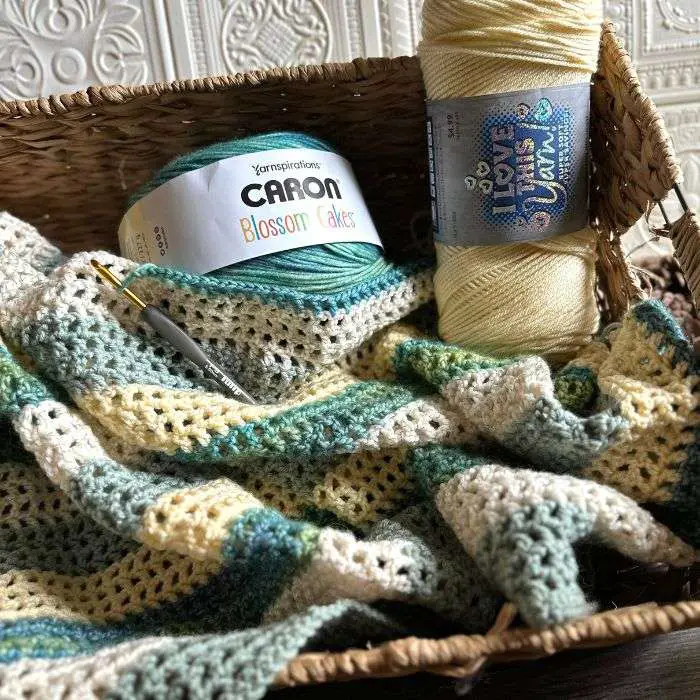 Caron blossom cakes hobby lobby I love this yarn pattern